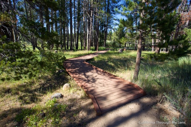 Donner Camp Trail 12