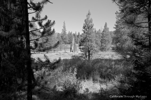 Donner Camp Trail 5