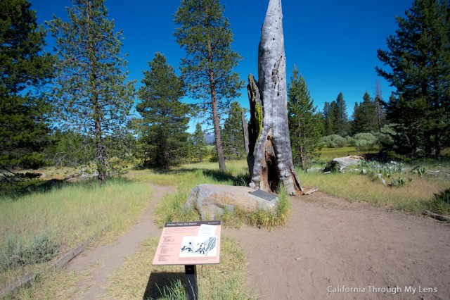 Donner Camp Trail 6