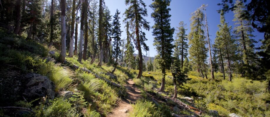 25 Best Day Hikes in California: From Easiest to Hardest