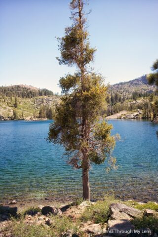 Lakes Basin Loop 16