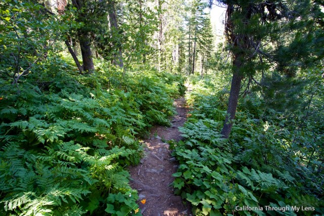 Lakes Basin Loop 2