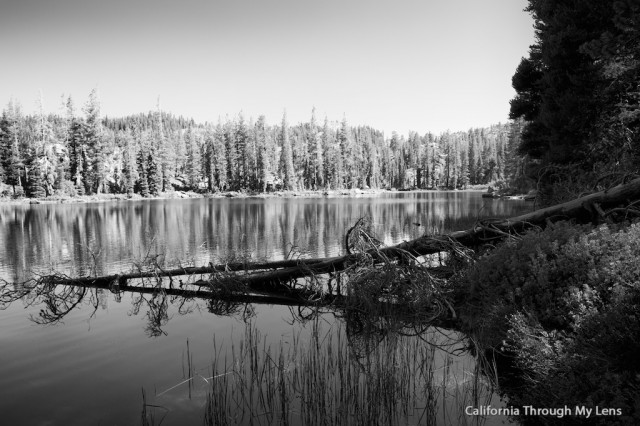 Lakes Basin Loop 7