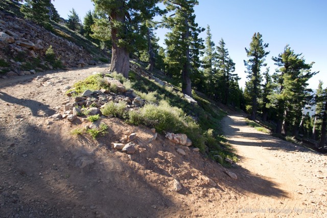 Sierra Buttes Fire Outlook 16