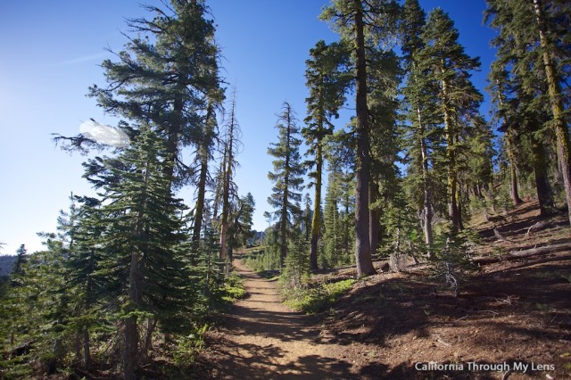 Sierra Buttes Fire Outlook 23