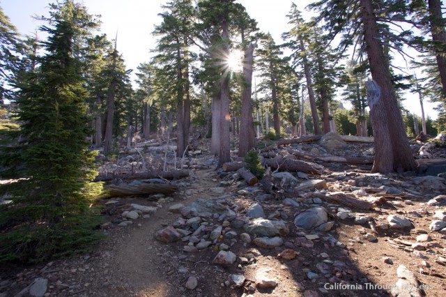 Sierra Buttes Fire Outlook 31