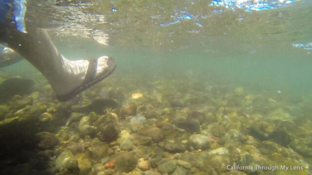 floating truckee river 11