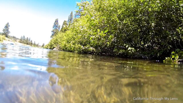 floating truckee river 7