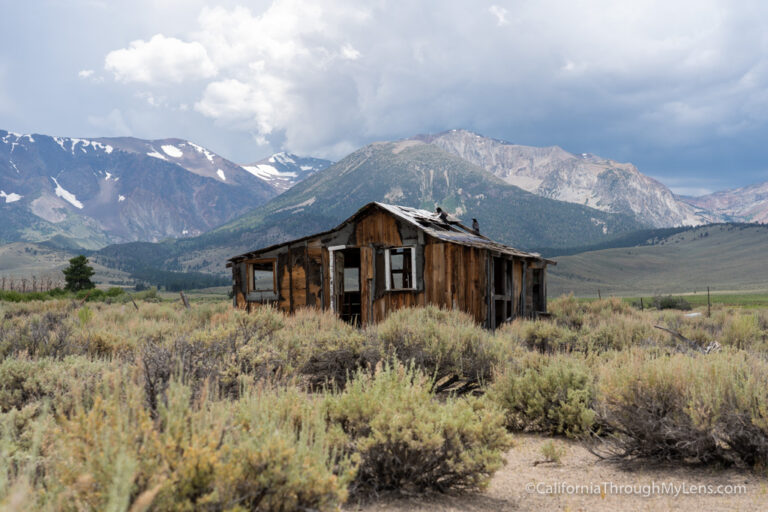 Highway 395 Road Trip (40+ Stops): Hikes, Food, Fossils & Lakes