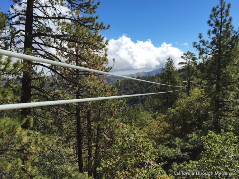 Big Pines Zipline: Soaring Over Wrightwood at 50 MPH
