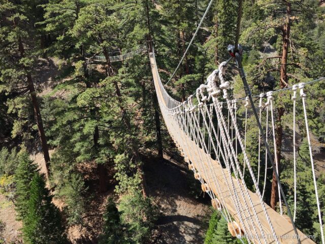 Big Pines Zipline 18