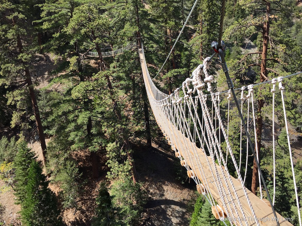 Big Pines Zipline Soaring Over Wrightwood at 50 MPH California