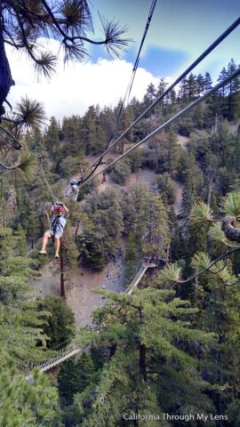 Big Pines Zipline 2 (1)