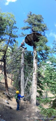 Big Pines Zipline 9