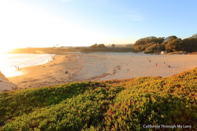 Natural Bridges State Beach 10