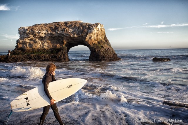 Natural Bridges State Beach 14