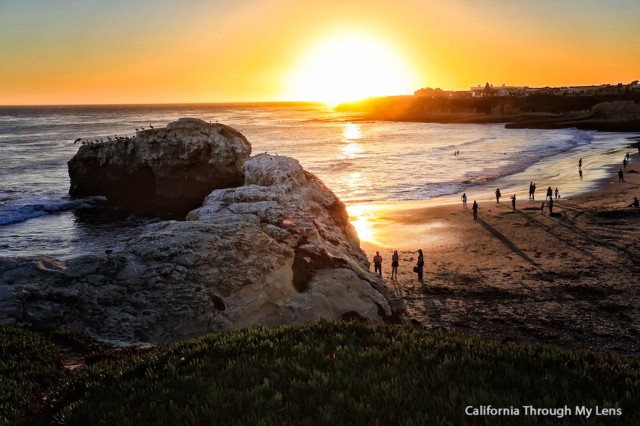 Natural Bridges State Beach 8