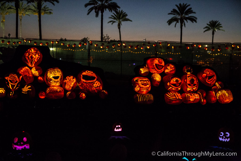 The Rise of the Jack O'Lanterns 5,000 Professional Pumpkins in LA California Through My Lens
