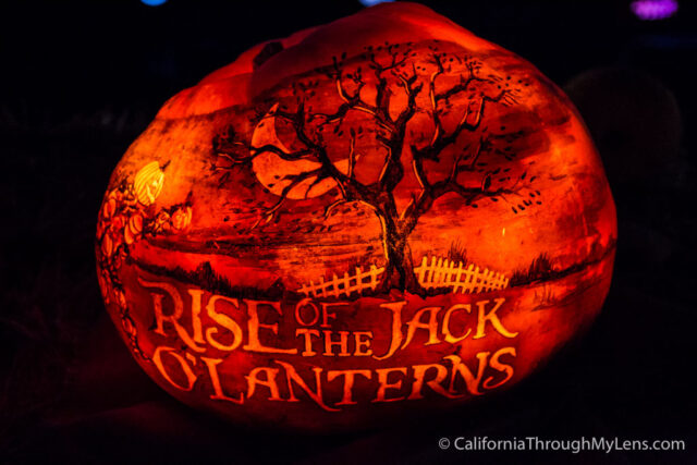 Las Vegas pumpkin carver's designs bring Halloween feel to