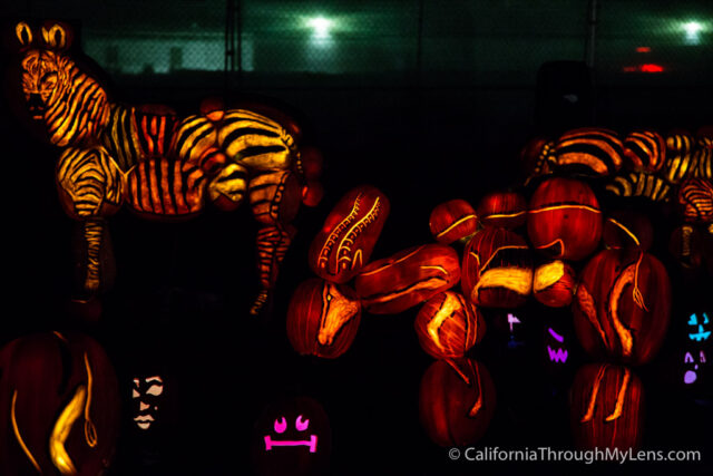 Rise of the JackOLanterns-5