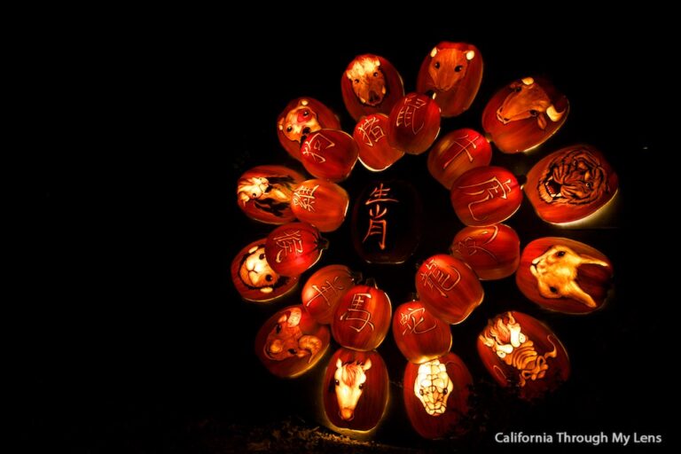 The Rise of the Jack O’Lanterns: 5,000 Professional Pumpkins in LA