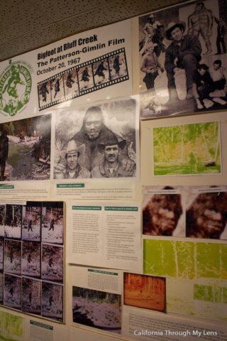 bigfoot discovery museum1