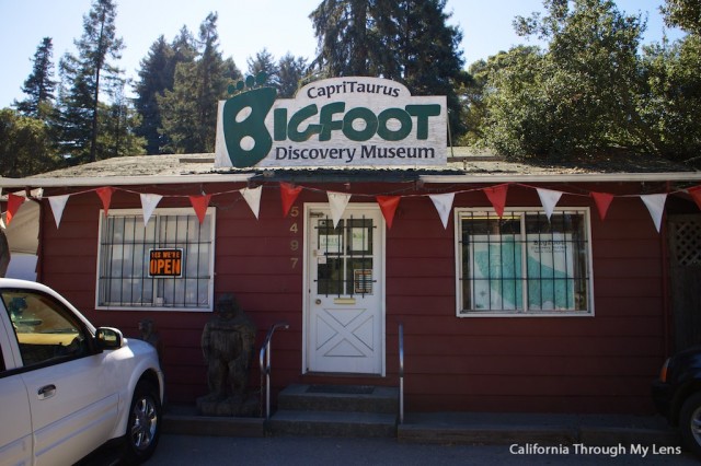 Bigfoot Discovery Museum Searching for the Sasquatch in Santa