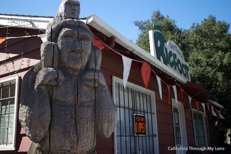 Bigfoot Discovery Museum: Searching for the Sasquatch in Santa Cruz