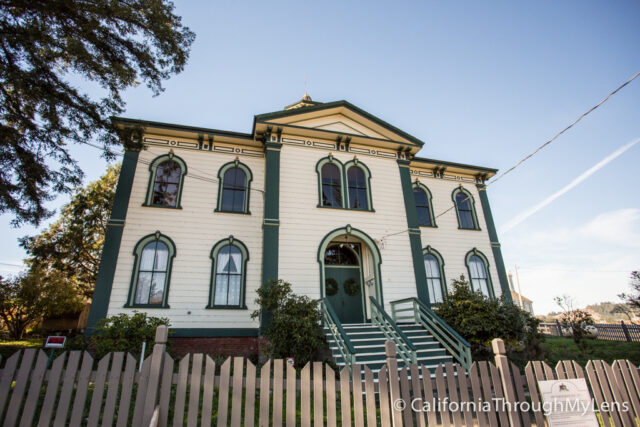 Birds Schoolhouse-1