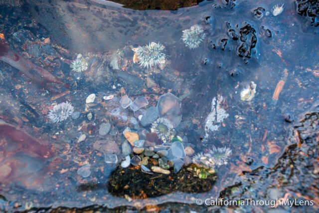 MyBestPlace - The Glass Beach, A Beach of 1000 Reflections