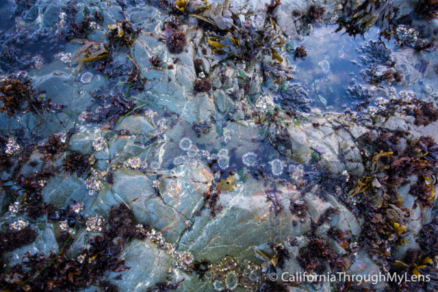 The Glass Beach  Geology, Formation » Geology Science