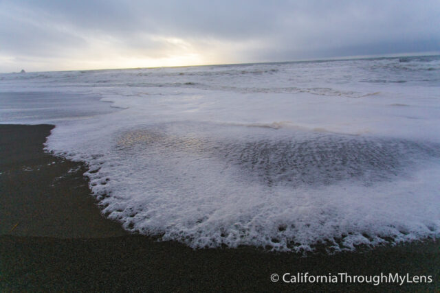 Pelican State Beach-10