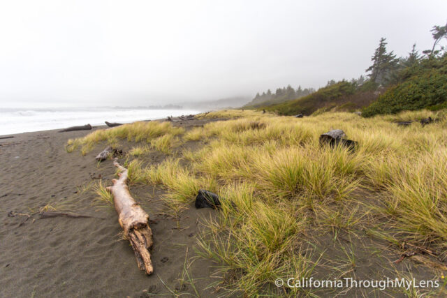 Pelican State Beach-12