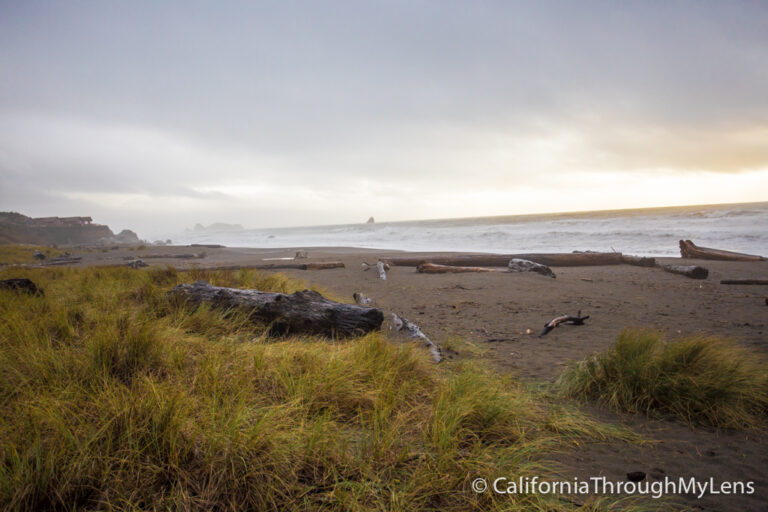 Pelican State Beach: Northernmost Beach in California