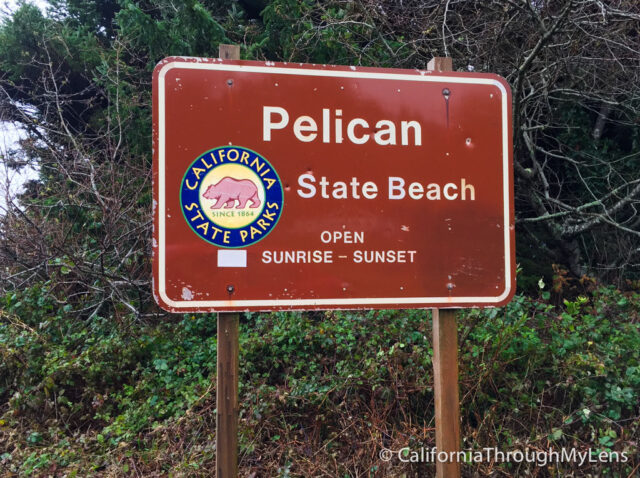 Pelican State Beach-14