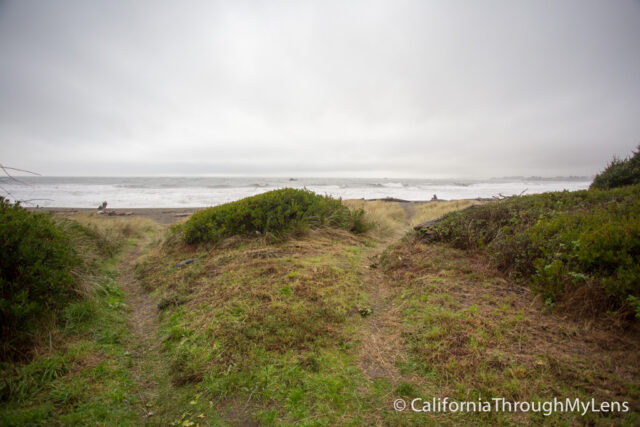 Pelican State Beach-3