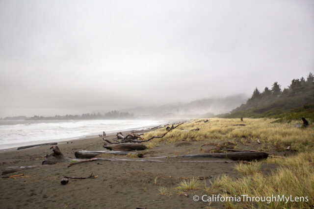 Pelican State Beach-5