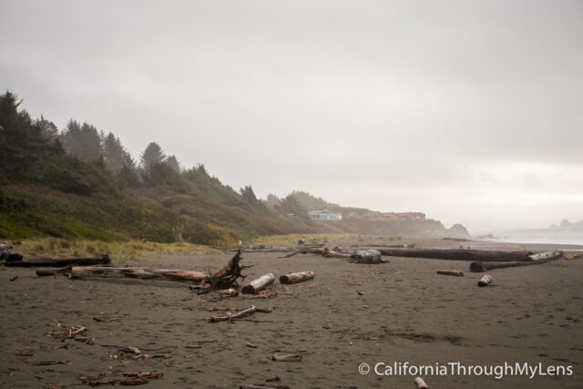 Pelican State Beach-7