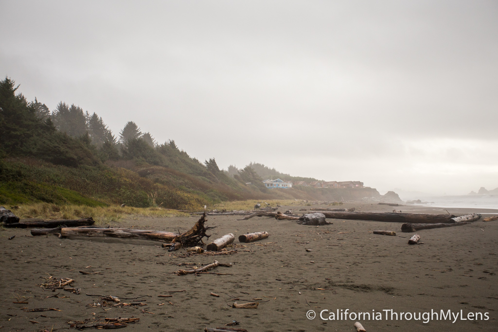 Sun, Sand, and Serenity: A Guide to Pelican State Beach