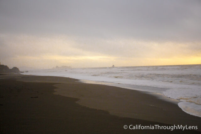 Pelican State Beach-9