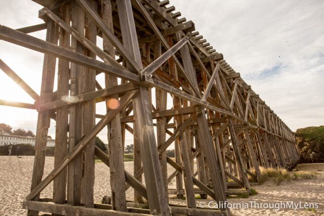 Pudding Creek Trestle-11