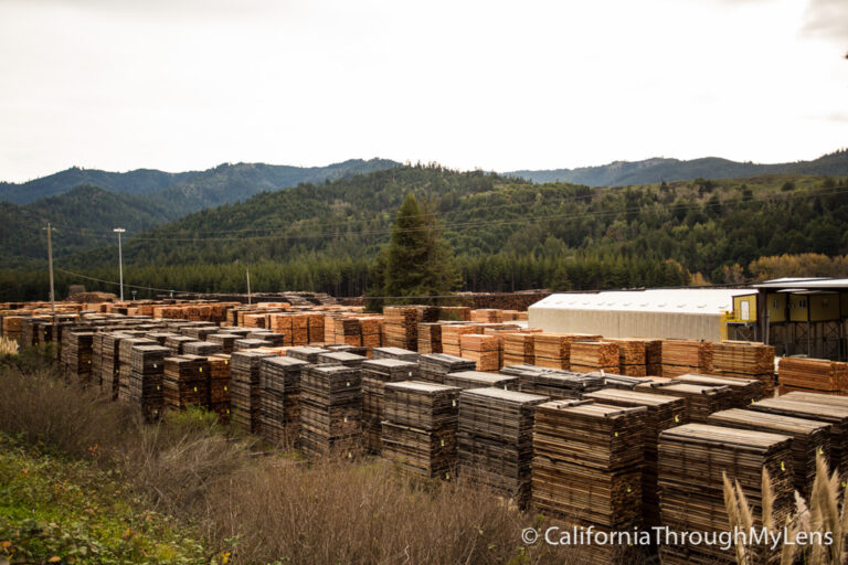 Scotia: Historic Lumber Town & Museum in Humboldt County