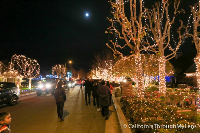 thoroughbred christmas lights