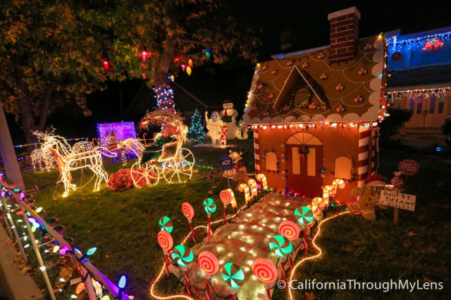 thoroughbred christmas lights