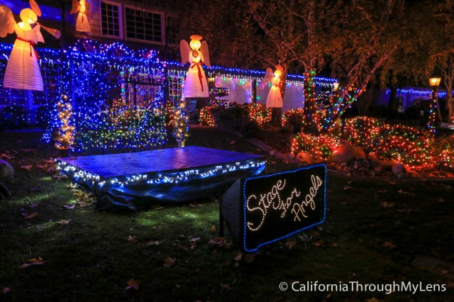 thoroughbred christmas lights