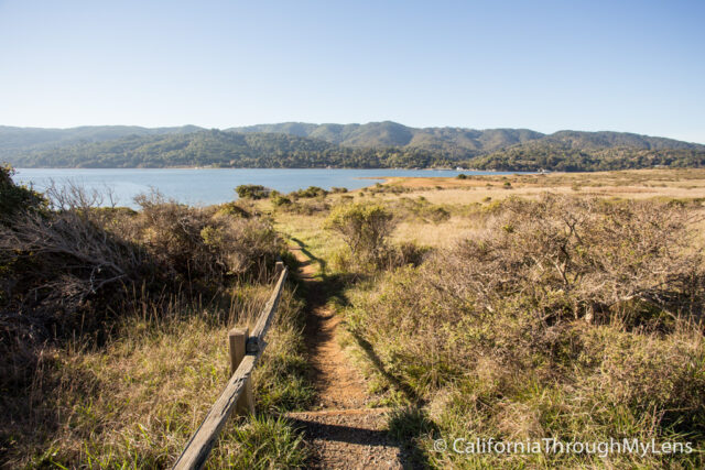 Tomales bay-1