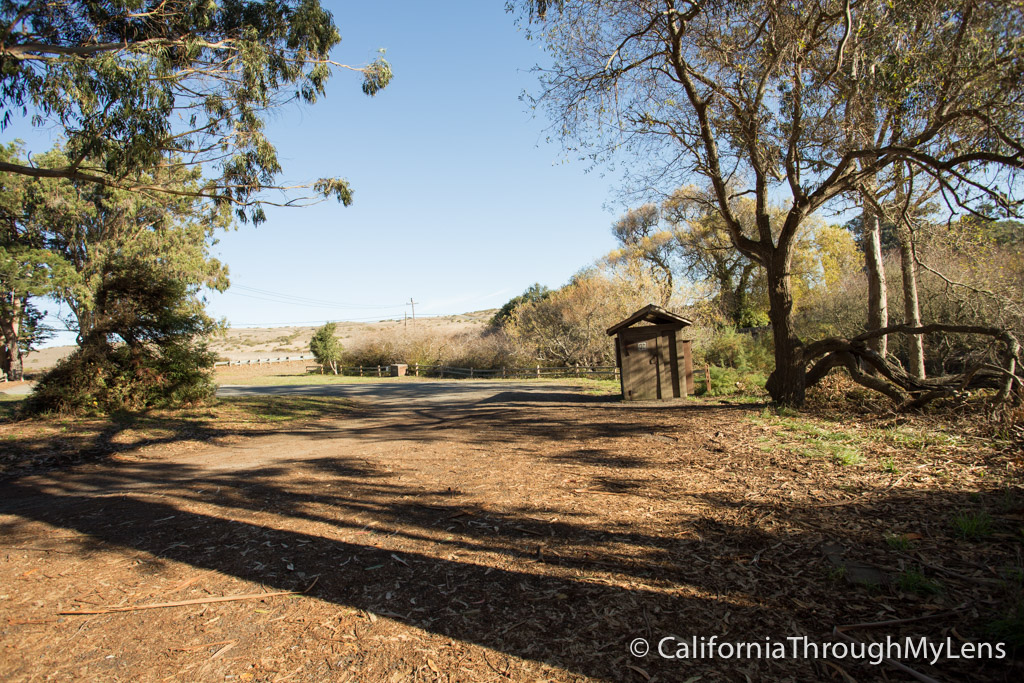 Millerton Point Hike at Tomales State Park - California Through My Lens