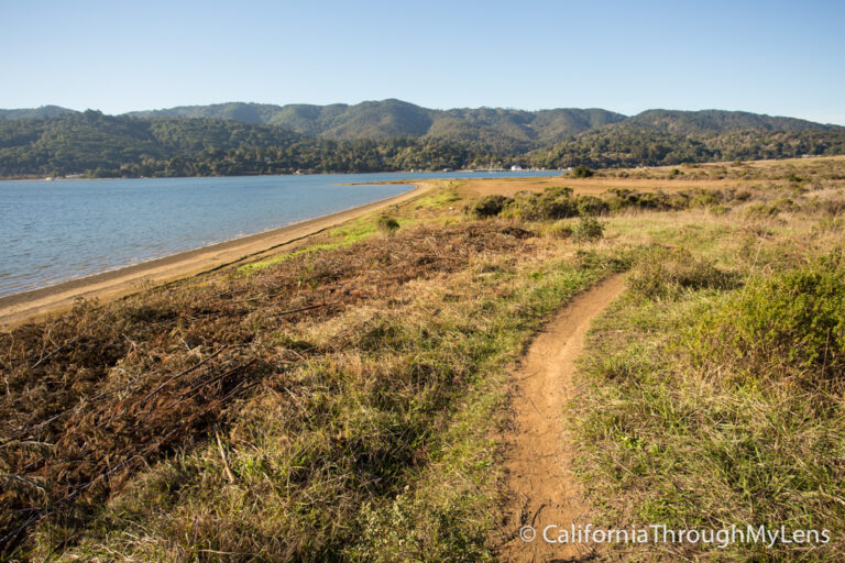Millerton Point Hike at Tomales State Park