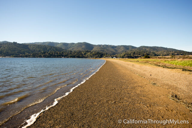 Tomales bay-4