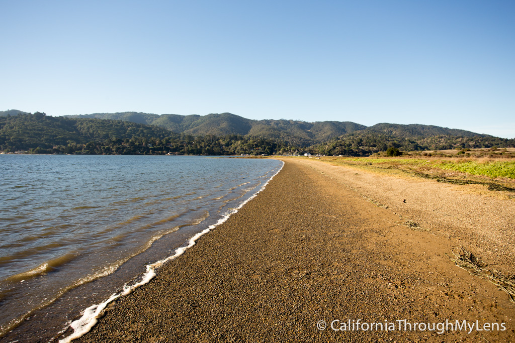 Millerton Point Hike at Tomales State Park California Through My Lens